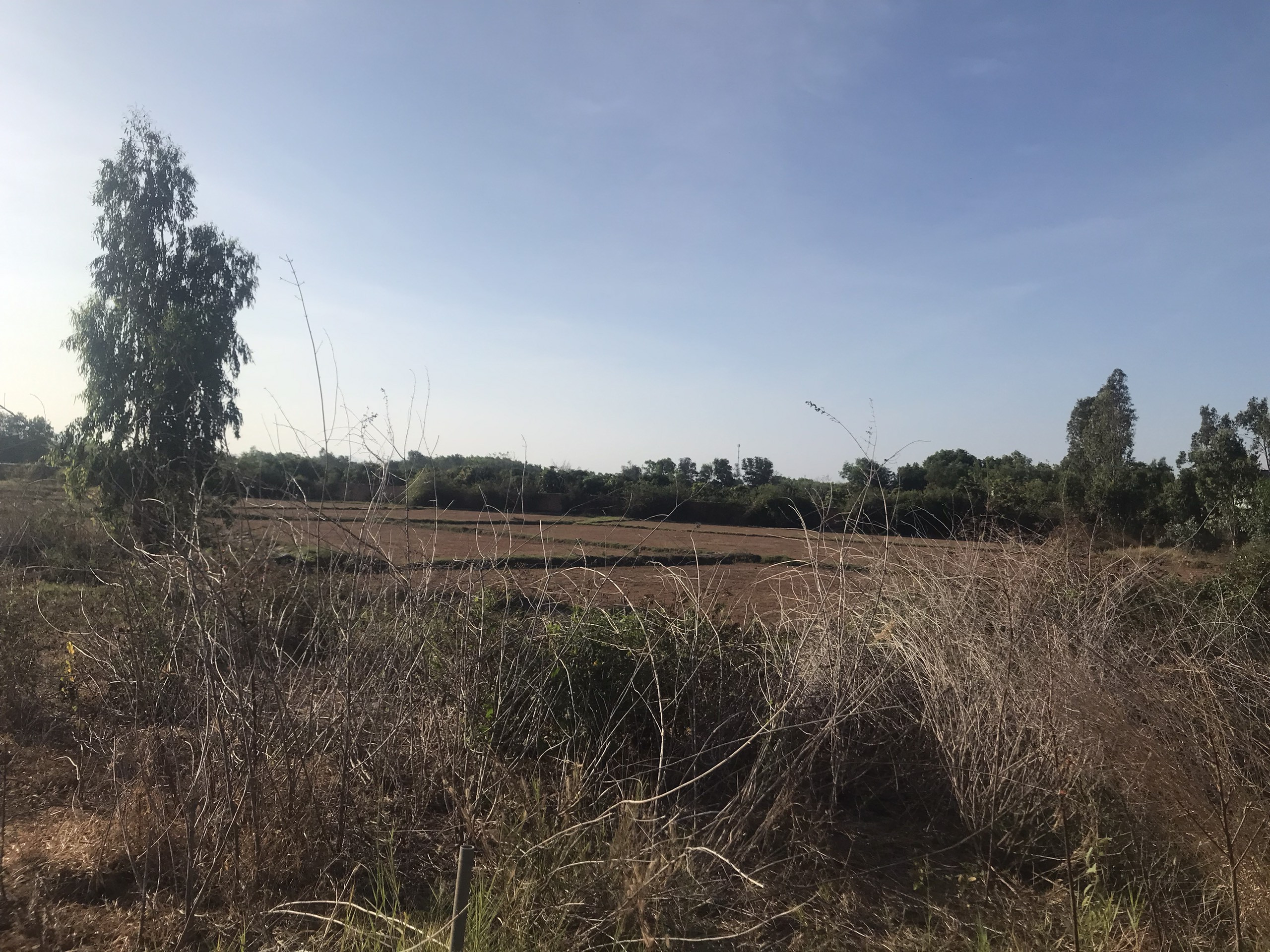 BÁN 1,7 HA ĐẤT XÃ LONG MỸ, PHƯỚC HẢI, ĐẤT ĐỎ, BÀ RỊA- VŨNG TÀU