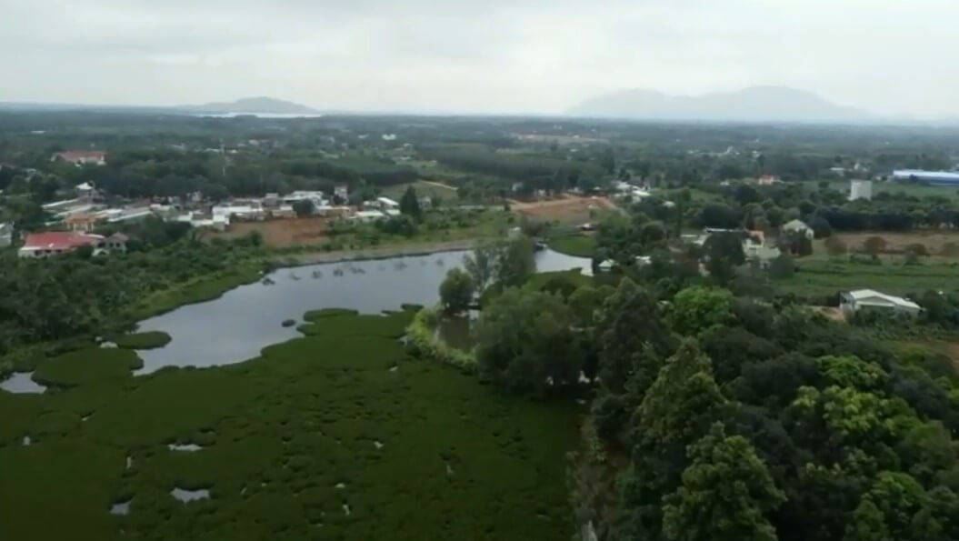 Bán đất ở Sông Xoài - Phú Mỹ giá rẻ Diện tích 27 ha - Trồng 1300 cây bưởi đang thu hoạch 1 tỷ hằng năm